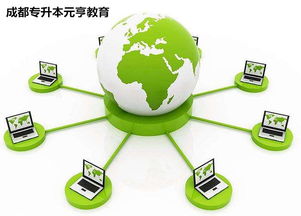 網(wǎng)絡(luò)遠(yuǎn)程技術(shù)教育 時(shí)代趨勢(shì)與獨(dú)特優(yōu)勢(shì)的融合
