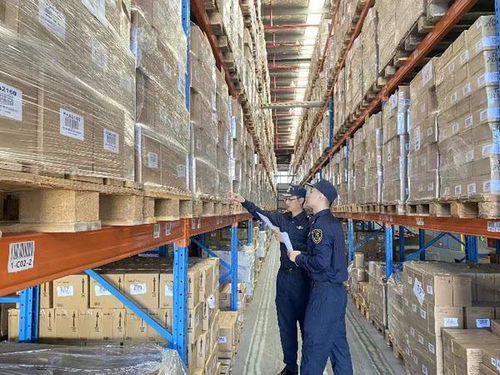奉賢海關全力保障“雙十一”首波跨境商品高效通關