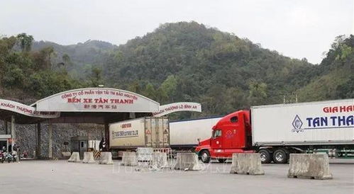 越南春節經濟活躍 企業貨物進出口助力區域貿易回暖