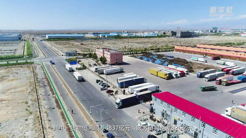 9月我國國際貨物和服務貿易強勁增長 進出口同比增長10%，貨物進出口成主力