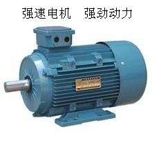 【廠家批發(fā)三相異步電動機Y180L-6 15KW 系列電機國標(biāo) 全銅線】價格,廠家,圖片,其他電動機,臺州市強速電機制造-